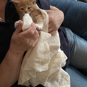 Meet your Posher, Jan